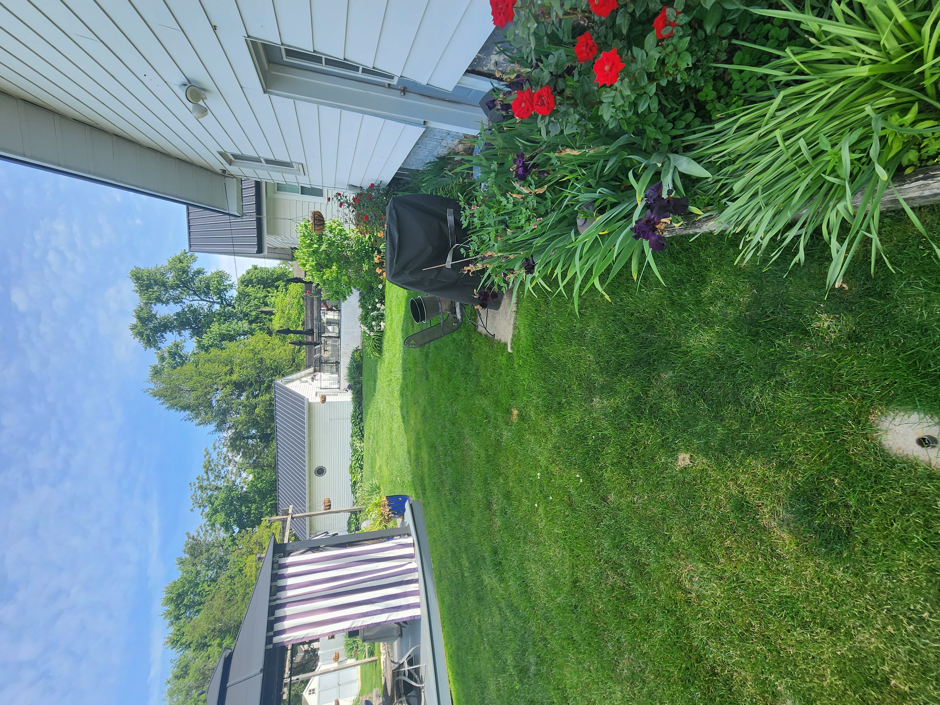 Before lawn care work