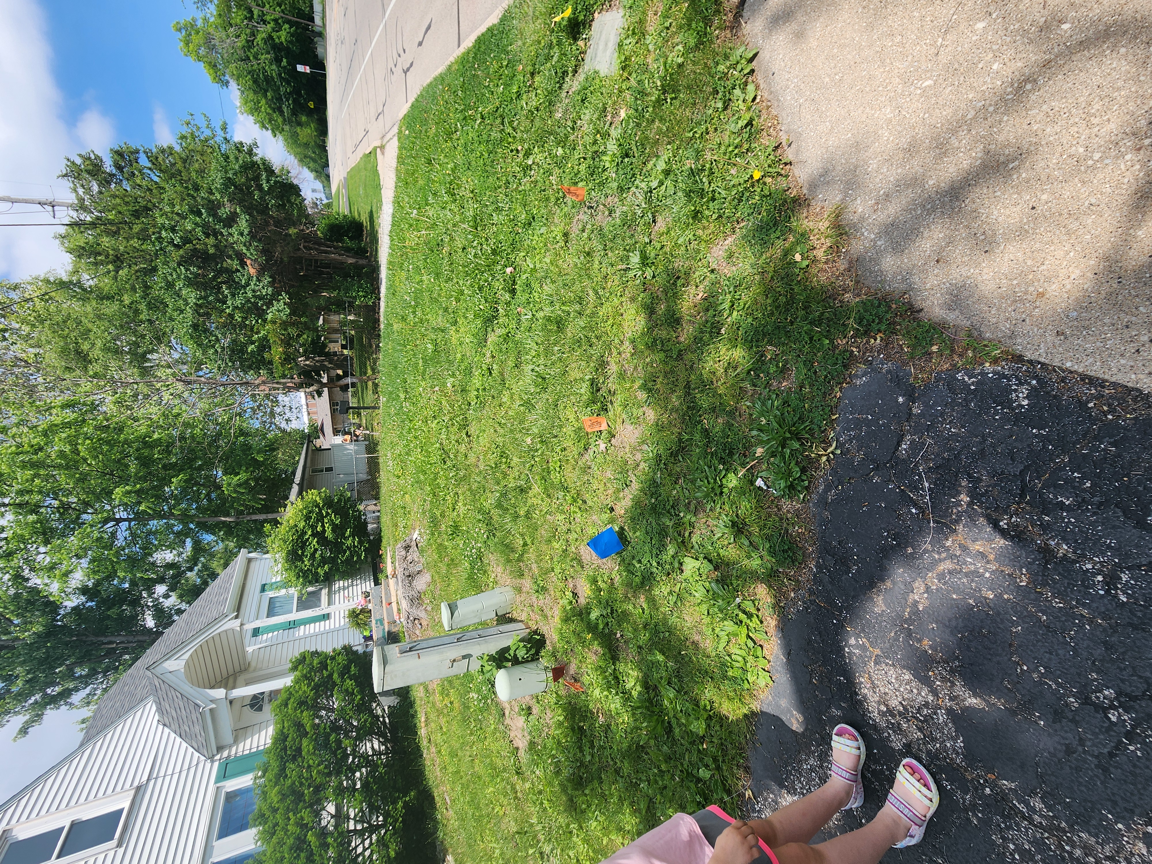 Before property cleanup
